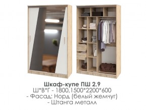 шкаф-купе ПШ-2.9 1500 Норд Белый жемчуг 1500 в Новой Ляле - novaya-lyalya.magazin-mebel74.ru | фото