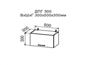 Шкаф верхний ДПГ500 горизонтальный в Новой Ляле - novaya-lyalya.magazin-mebel74.ru | фото
