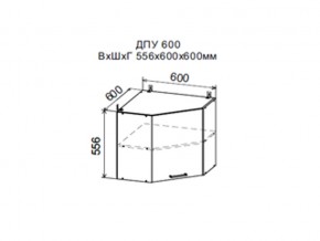 Шкаф верхний ДПУ600 угловой в Новой Ляле - novaya-lyalya.magazin-mebel74.ru | фото