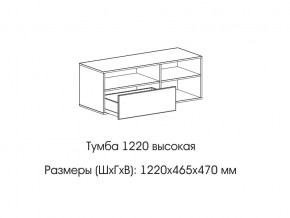 Тумба 1220 (высокая) в Новой Ляле - novaya-lyalya.magazin-mebel74.ru | фото