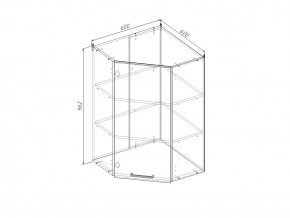 ВУ9 Модуль верхний Угловой МВУ9 в Новой Ляле - novaya-lyalya.magazin-mebel74.ru | фото